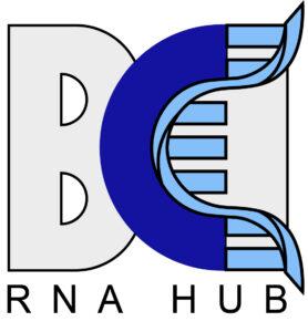 BCI RNA Hub Logo