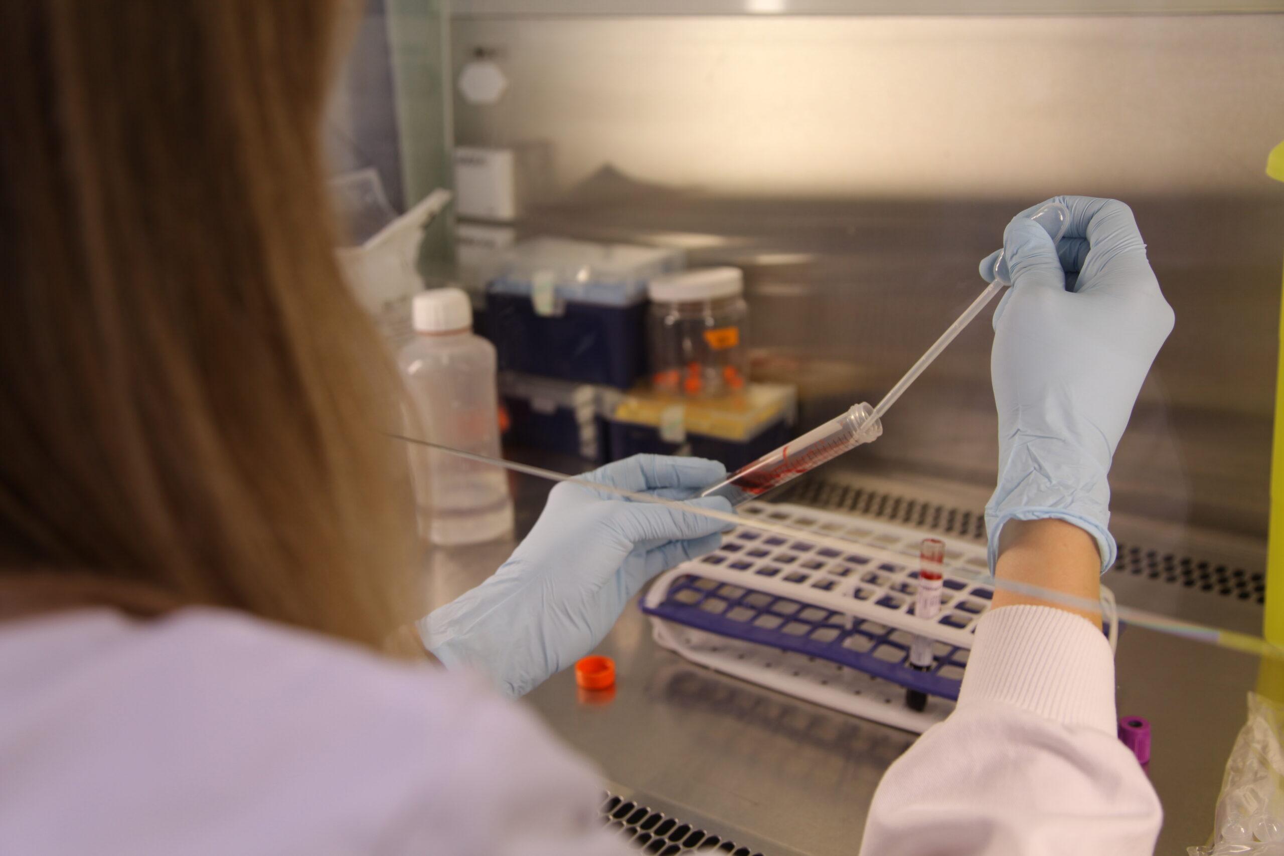 Researcher wearing blue gloves in the laboratory pipetting a blood sample into a test tube.