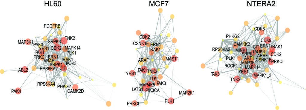 Protein network rewiring in cancer. Comparative analysis of topologies across three different cancer cell lines.