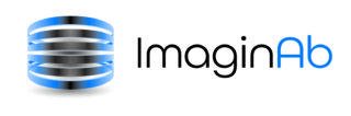 10216 ImagineAb Process Colour Logo