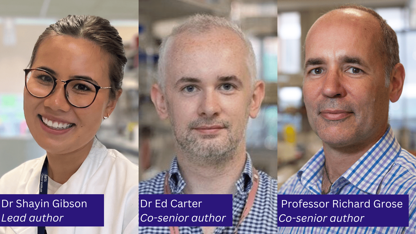 The team behind the new paper: lead author Dr Shayin Gibson, and co-senior authors Dr Ed Carter and Professor Richard Grose.