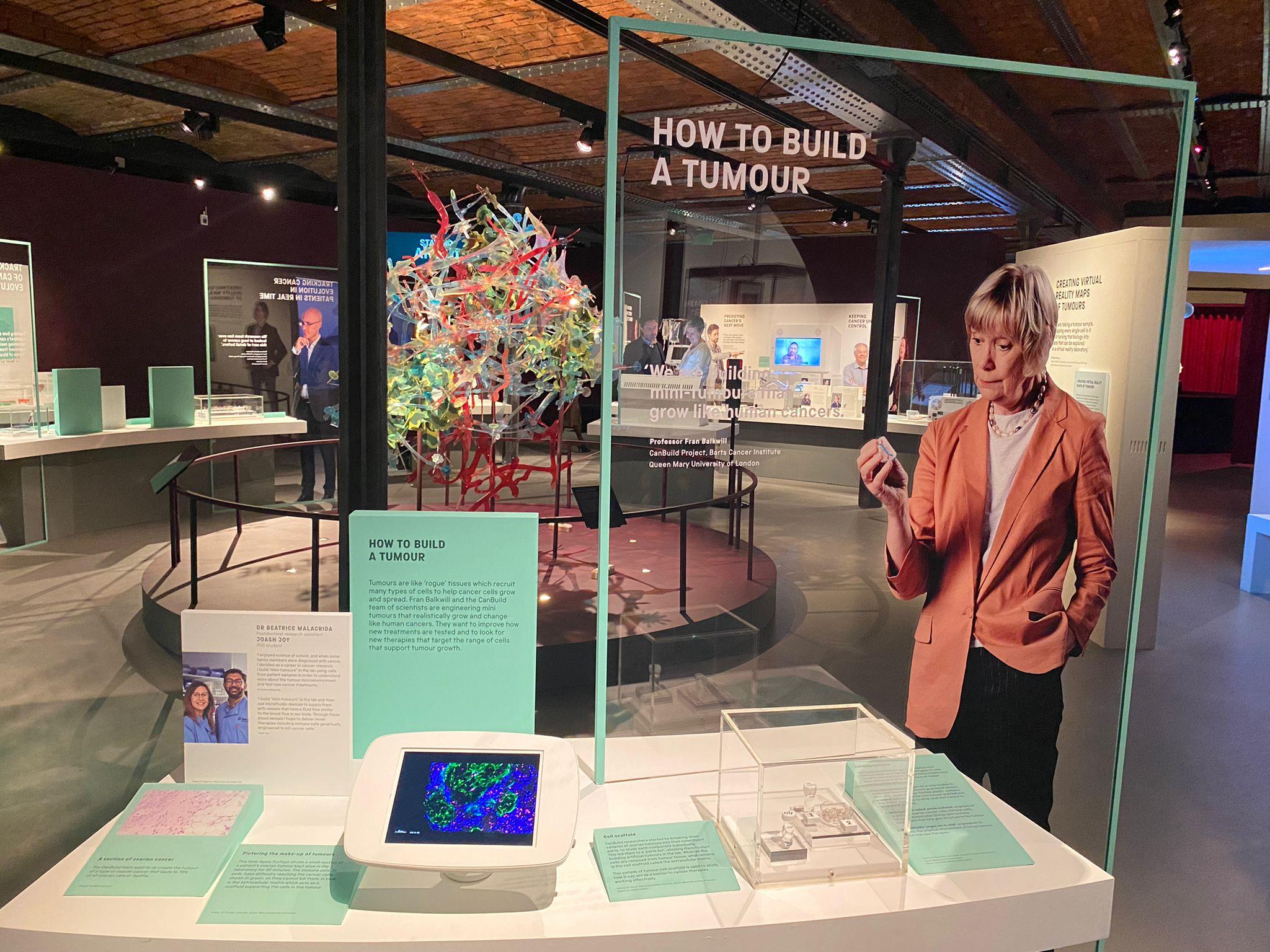 Professor Balkwill featured in the Science Museum's recent 'Cancer Revolution' exhibition.
